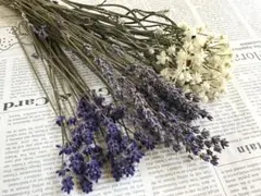 user_a94dc077様 リクエスト 2点 まとめ商品