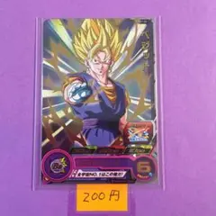 ＊10099 複数購入200円 ベジット PUMS11-04