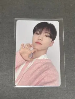 SEVENTEEN always yours 東京ドーム　ホシ