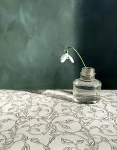 ❤︎お決まり品❤︎サッサー様 リクエスト 4点 まとめ商品