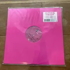 リップスライム アナログ盤セット Yahoo!オークション -「rip slyme」(レコード) の落札相場・落札価格