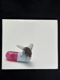 RED HOT CHILI PEPPERS IM WITH YOU