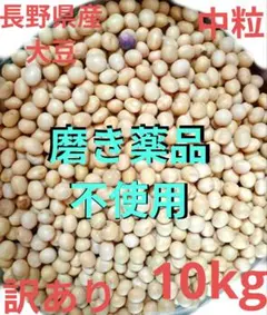 大豆 2025年産 長野県産　薬品磨き不使用 惣菜納豆豆乳加工用 訳あり10kg 大豆 2025年産 長野県産 薬品磨き不使用 惣菜納豆豆乳加工用 訳あり