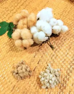 i様 リクエスト 2点 まとめ商品