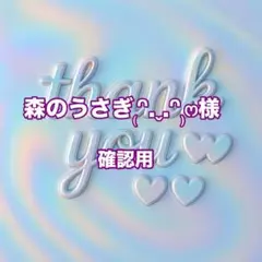 森のうさぎ₍ᐢ.ˬ.ᐢ₎ෆ様 リクエスト 3点 まとめ商品