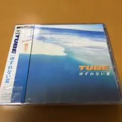 チューブ/ゆずれない夏