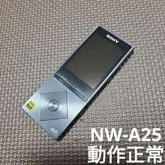 2026年最新】NW-A26の人気アイテム - メルカリ