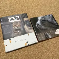 ねこ➕ちょっとネコぼけ 2冊セット‼️岩合光昭‼️帯付き‼️