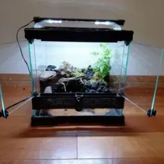 パ*サ様 【UV、保温球、サーモスタッド セット】エキゾテラ グラス