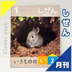【2点購入150円引】キンダーブック しぜん いし『2024年11月号』 しぜん-キンダーブック - フレーベル館の月刊保育絵本