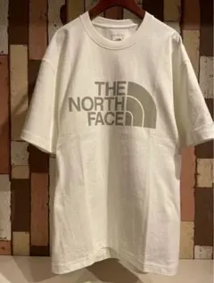 THE NORTH FACE ショートスリーブビッグロゴティー NT32356