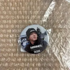 千葉ロッテマリーンズ 田中晴也　FAN FEST オンラインくじ　缶バッジ