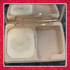 専用 ⭐️ポール&ジョー ヴェール ファンデーションN 100