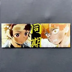 ロング缶バッジ 炭治郎 善逸 鬼滅の刃 立志編 第一期 縁