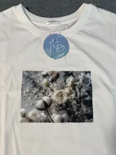 《新品・タグ付き》今期ハニーズ　ハニさら　フォトプリントTシャツ　ホワイト　Lのサムネイル