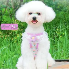 新品 犬用【ハーネス＆リード2点セット】 可愛さと機能性重視 パープルのサムネイル