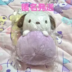 サンリオ　ポチャッコ　マスコット