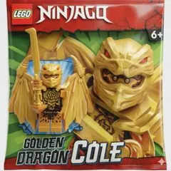 LEGO 892304 ゴールデンドラゴンコール ニンジャゴー　ミニフィグ