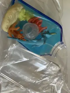 ポケモン Aqua Bottle Collection