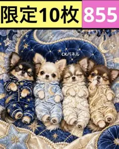 限定10枚！　レアパネル生地　無くなり次第終了です　6犬種パネル