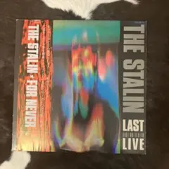 ［見本盤］THE STALIN / FOR NEVER The Stalin / For Never - Guitar Records