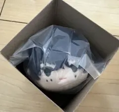 SAKAMOTO DAYS サカモトデイズ　サカデイ もちもちマスコット　夏生