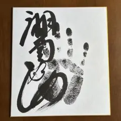 ⭕️令和8年大相撲、十両『湘南乃海』関、 手形、サイン、色紙、即購入可、メルカリ便のサムネイル