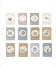 スリーコインズ　選び取りカード