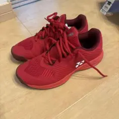 YONEX パワークッション　ソニケージメンGC 23.5㎝
