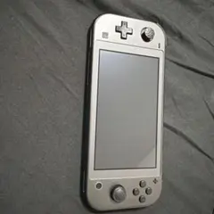 Nintendo Switch Lite グレー ポケモンデザイン