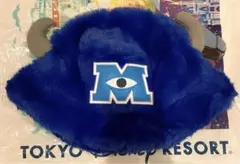 ディズニー バケハ