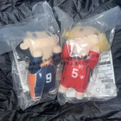 ハイキュー 一番くじ D賞 ぬいぐるみ 孤爪研磨 影山飛雄