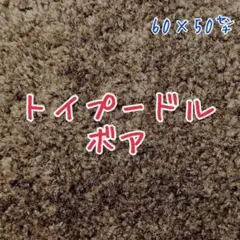 トイプードル 生地