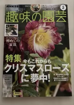趣味の園芸 2025年2月号 クリスマスローズ