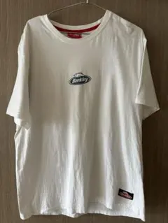 Item thumbnail for item 1617b87c-df96-4fe7-b9ea-33e82bb6ca2b