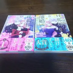 拝啓見知らぬ旦那様、離婚していただきます Ⅳ・Ⅴ巻セット