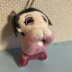 鬼滅の刃 栗花落カナヲ(過去)ぬいぐるみ　はぐキャラコレクション 5