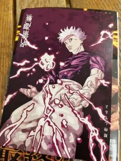 呪術廻戦 イラストカード 特典 非売品 29巻 30巻 ポストカード