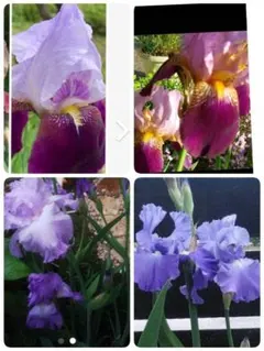 ちさ様 リクエスト 2点 まとめ商品