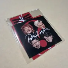 Paledusk ステッカー 2026ツアーグッズ ②