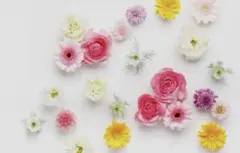 こっけ様♡専用