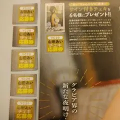 山田あい【チェキ応募券６枚】ヤングチャンピオン