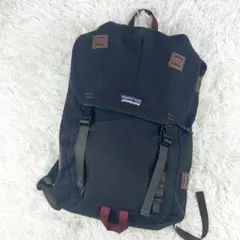 2025年最新】patagonia パタゴニア 47956の人気アイテム - メルカリ