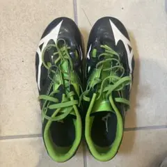 MIZUNO ジオサイレンサー10 25.5