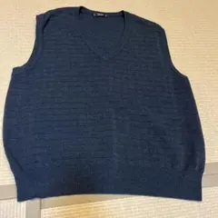 【モンゴル製】カシミヤ100% Vネック ベスト モンゴル製】カシミヤ100% Vネック ベスト メンズ - メルカリ