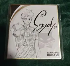 ハイキュー 展 サイン 色紙 日向翔陽 1枚