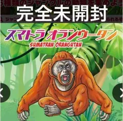 完全未開封　デアゴスティーニ　ジャングル&co. 金　スマトラオランウータン