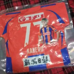 アルビレックス新潟　マッチデークッション　舩木翔　77 未開封