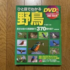 2025年最新】野鳥の人気アイテム - メルカリ