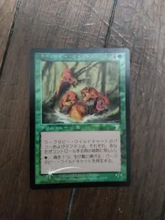 2025年最新】ウークタビー・ワイルドキャットの人気アイテム